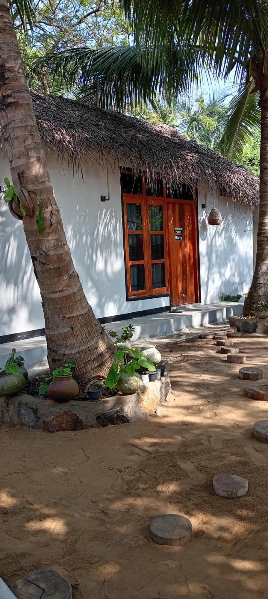 Surfing Lion Hostel Аругам-Бей Екстер'єр фото