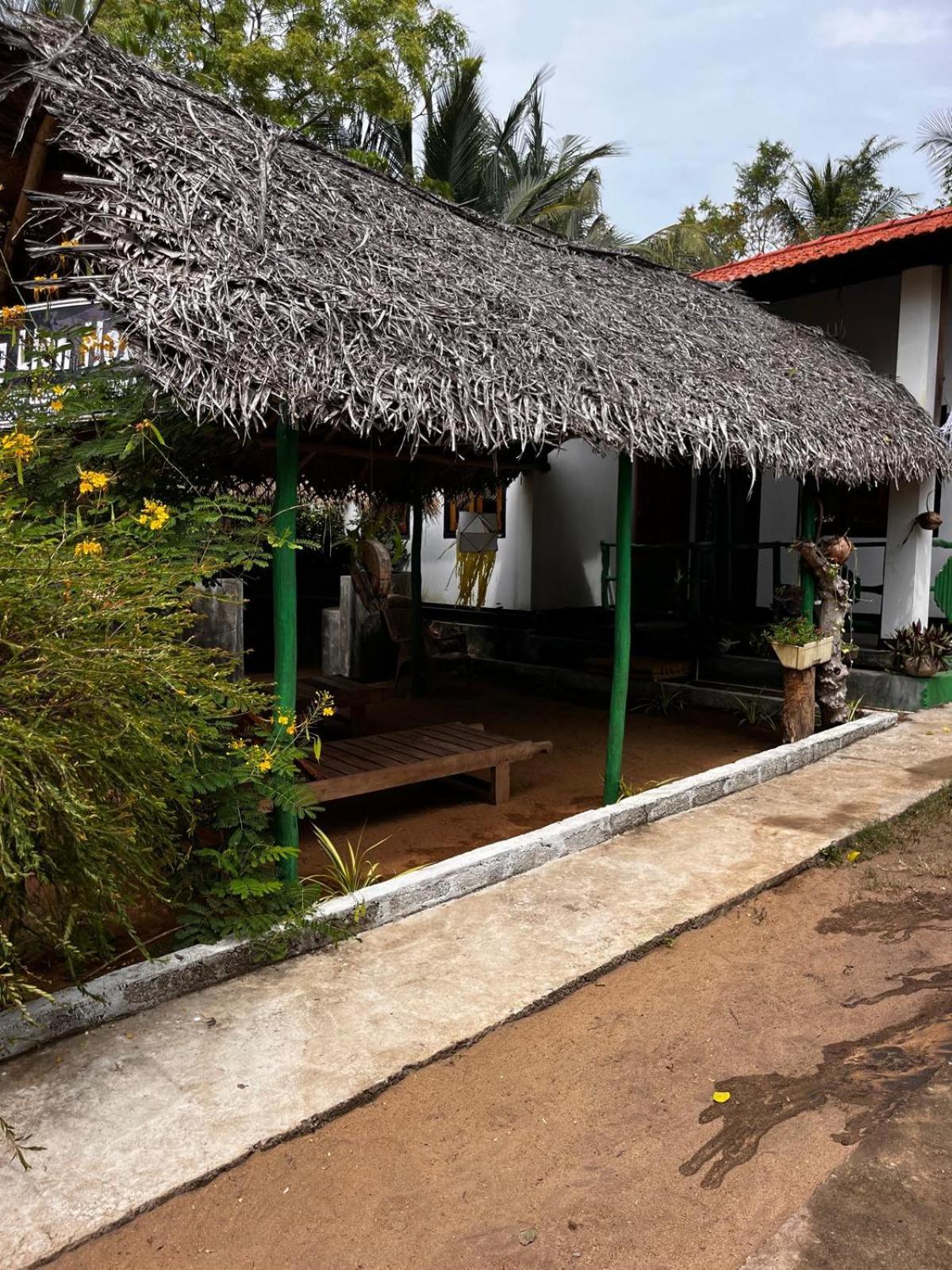 Surfing Lion Hostel Аругам-Бей Екстер'єр фото