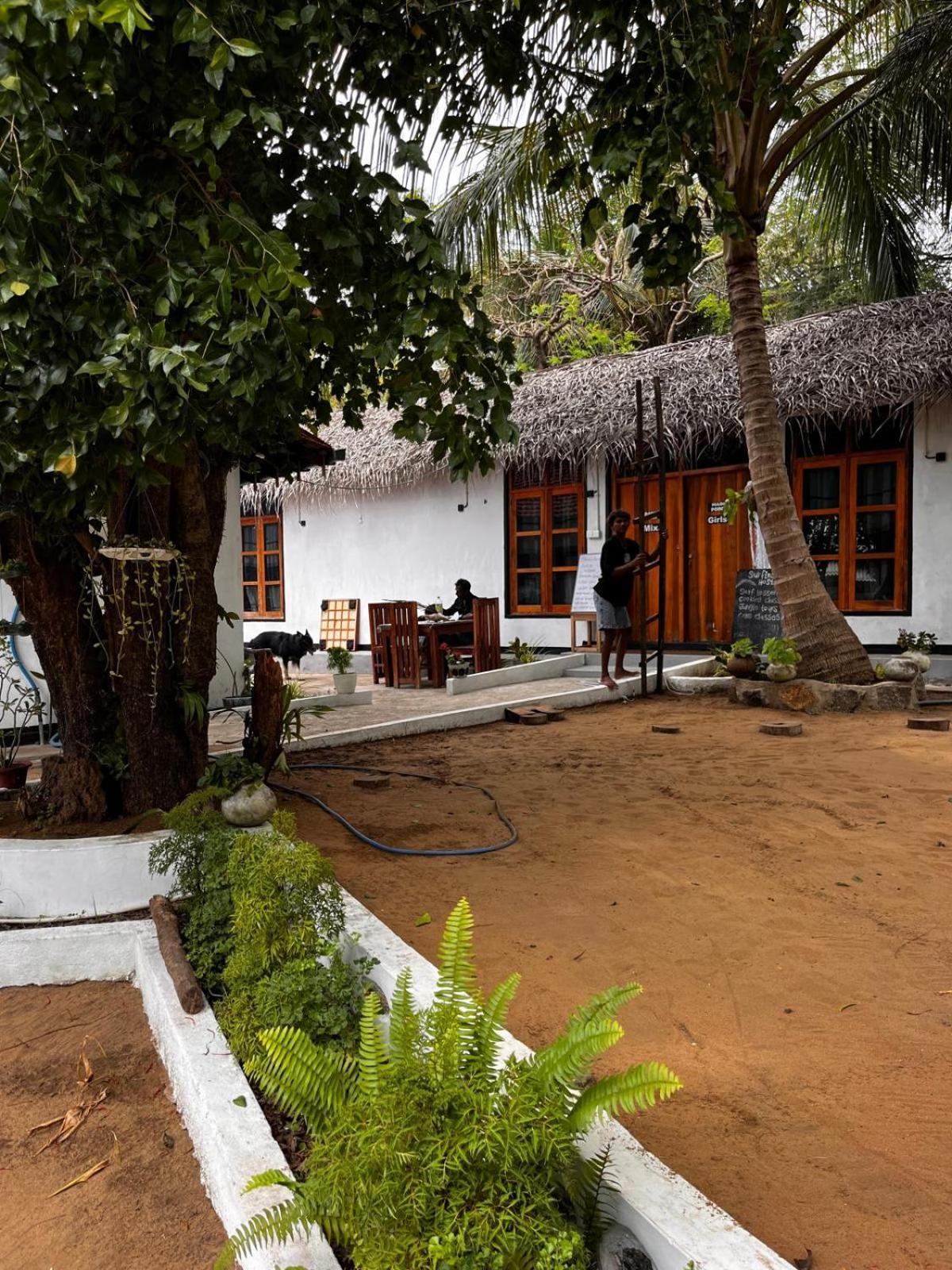 Surfing Lion Hostel Аругам-Бей Екстер'єр фото