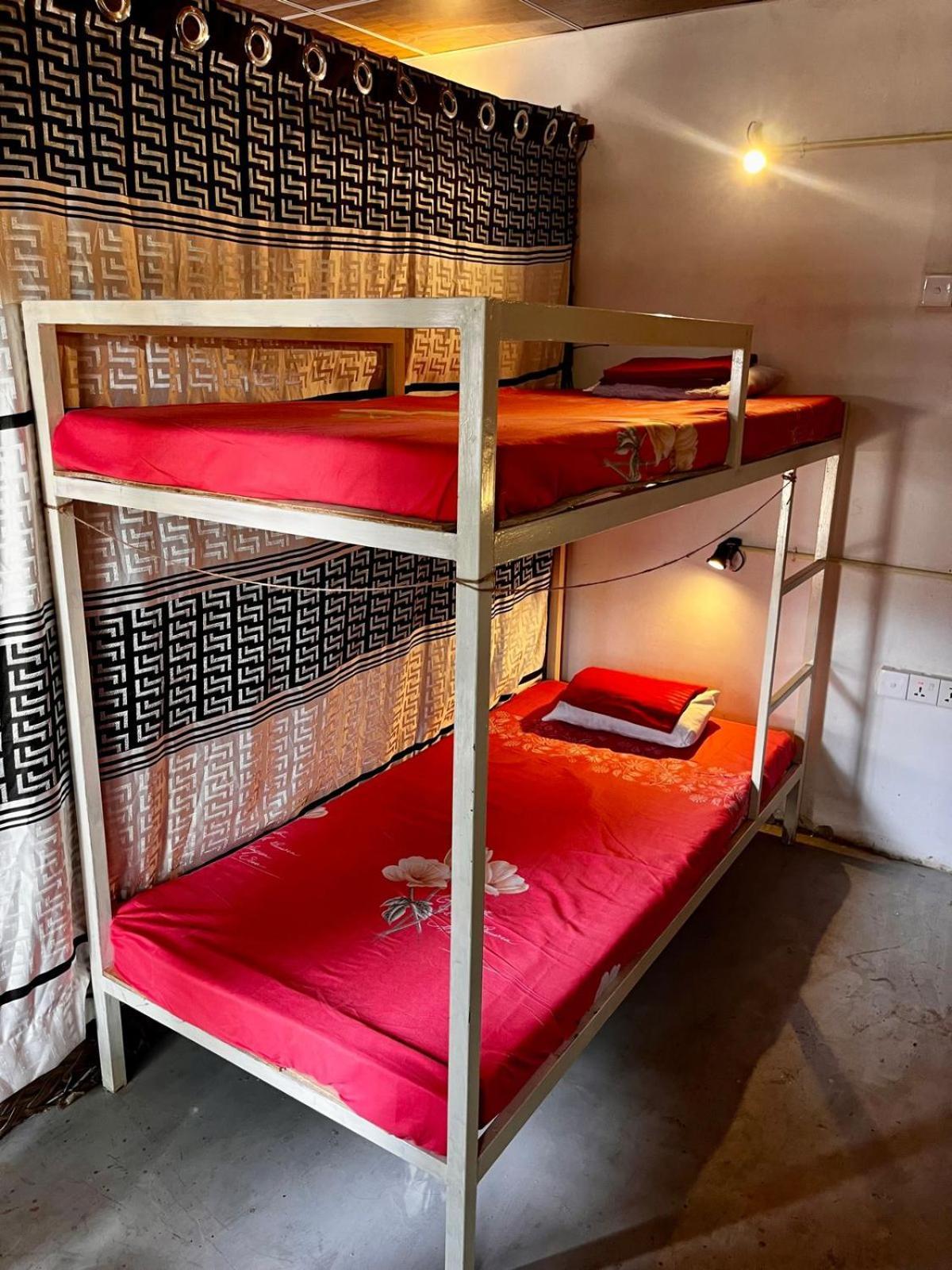 Surfing Lion Hostel Аругам-Бей Екстер'єр фото