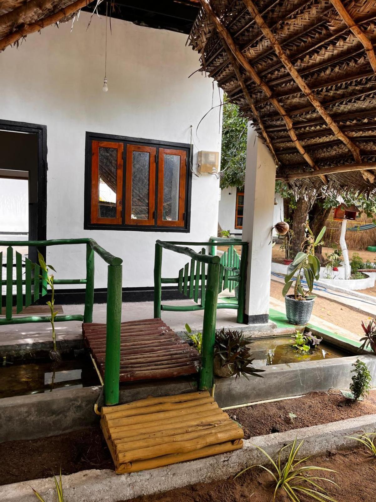 Surfing Lion Hostel Аругам-Бей Екстер'єр фото