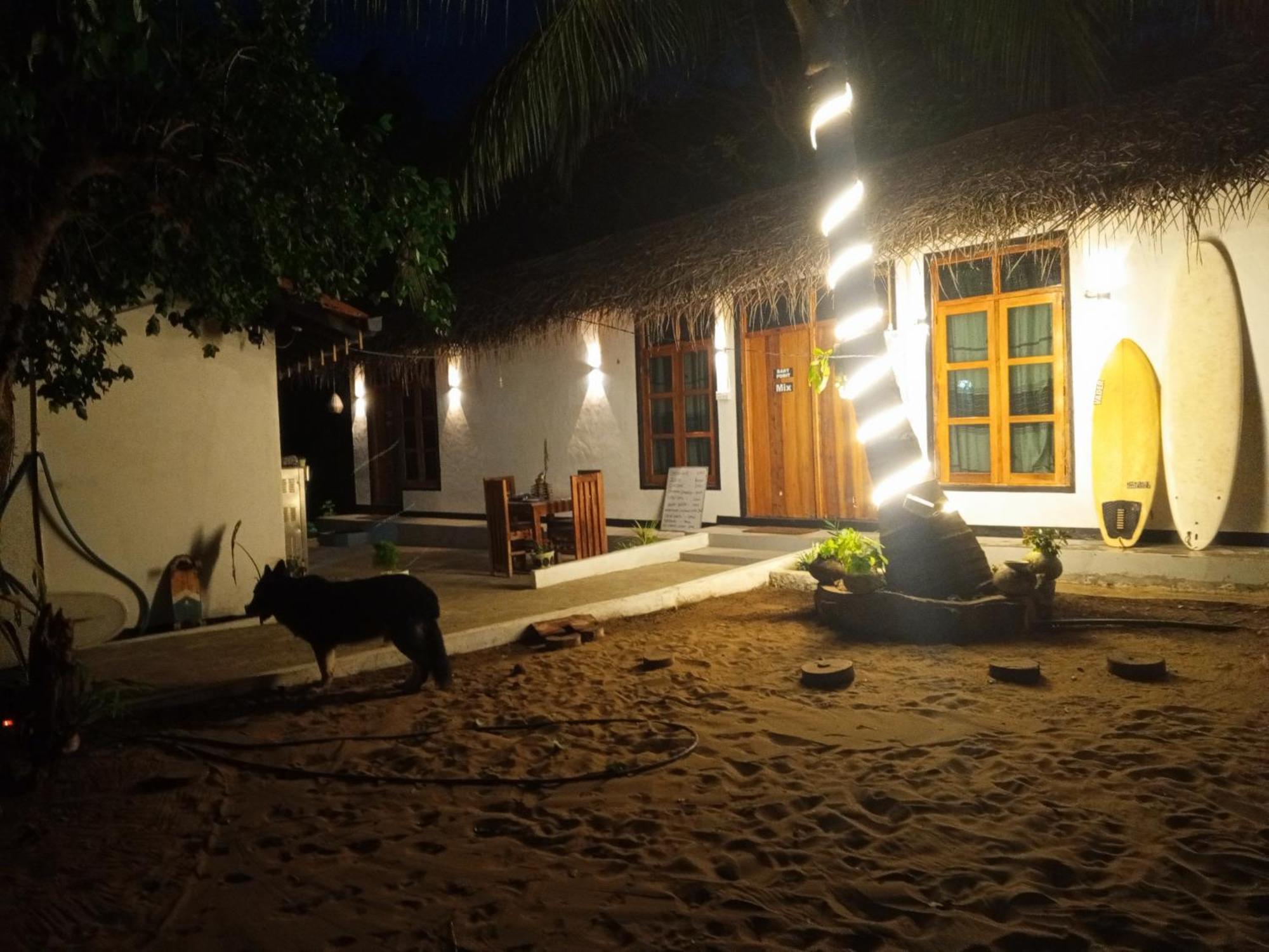 Surfing Lion Hostel Аругам-Бей Екстер'єр фото