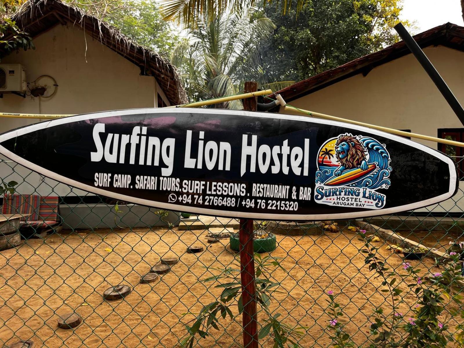 Surfing Lion Hostel Аругам-Бей Екстер'єр фото