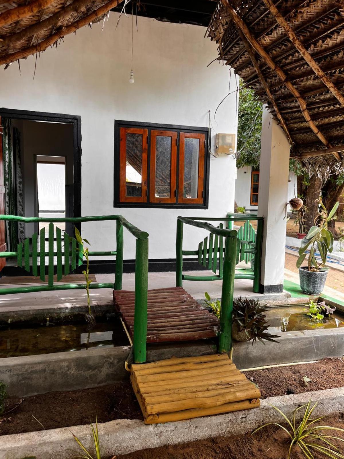 Surfing Lion Hostel Аругам-Бей Екстер'єр фото