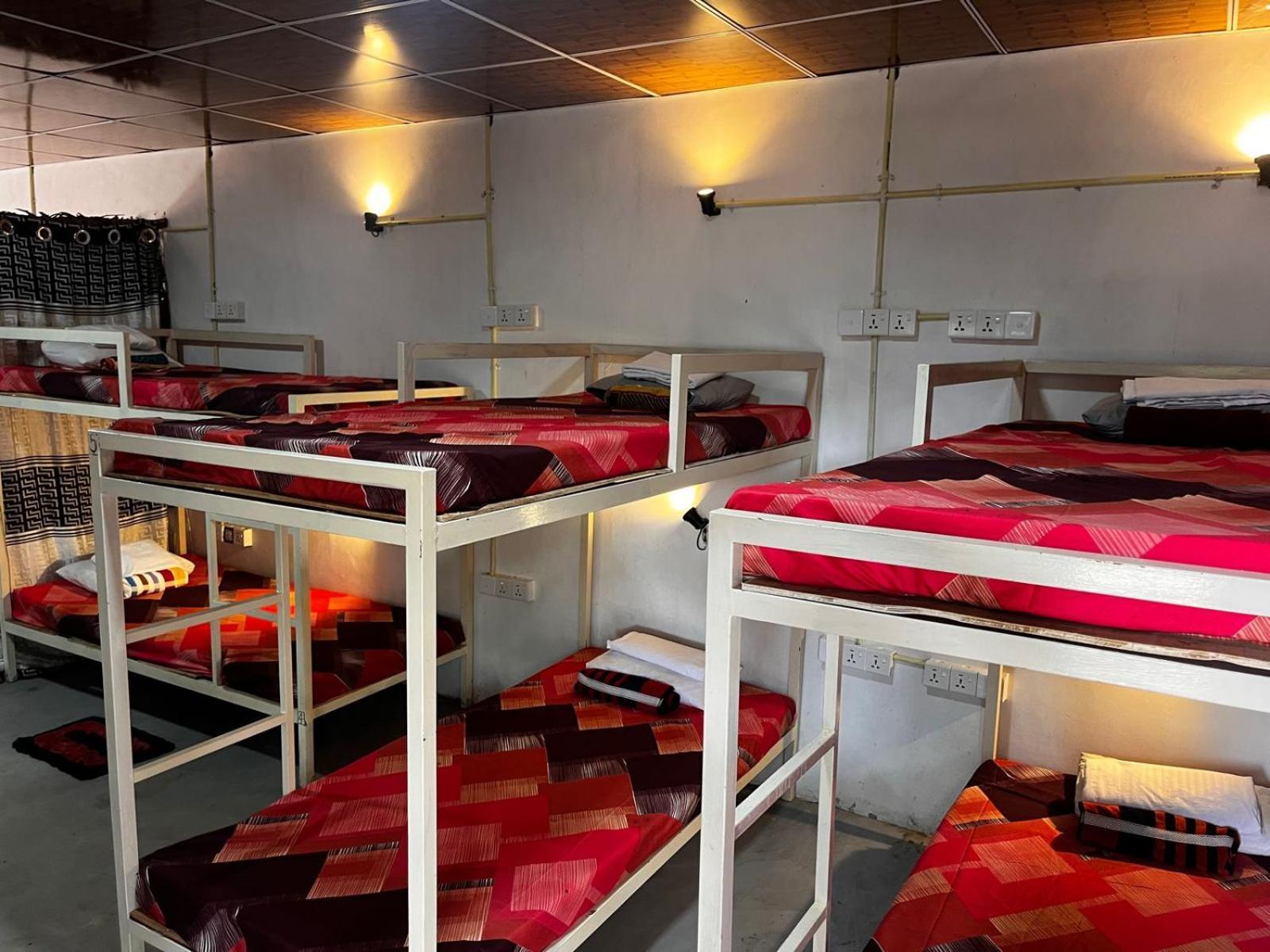 Surfing Lion Hostel Аругам-Бей Екстер'єр фото
