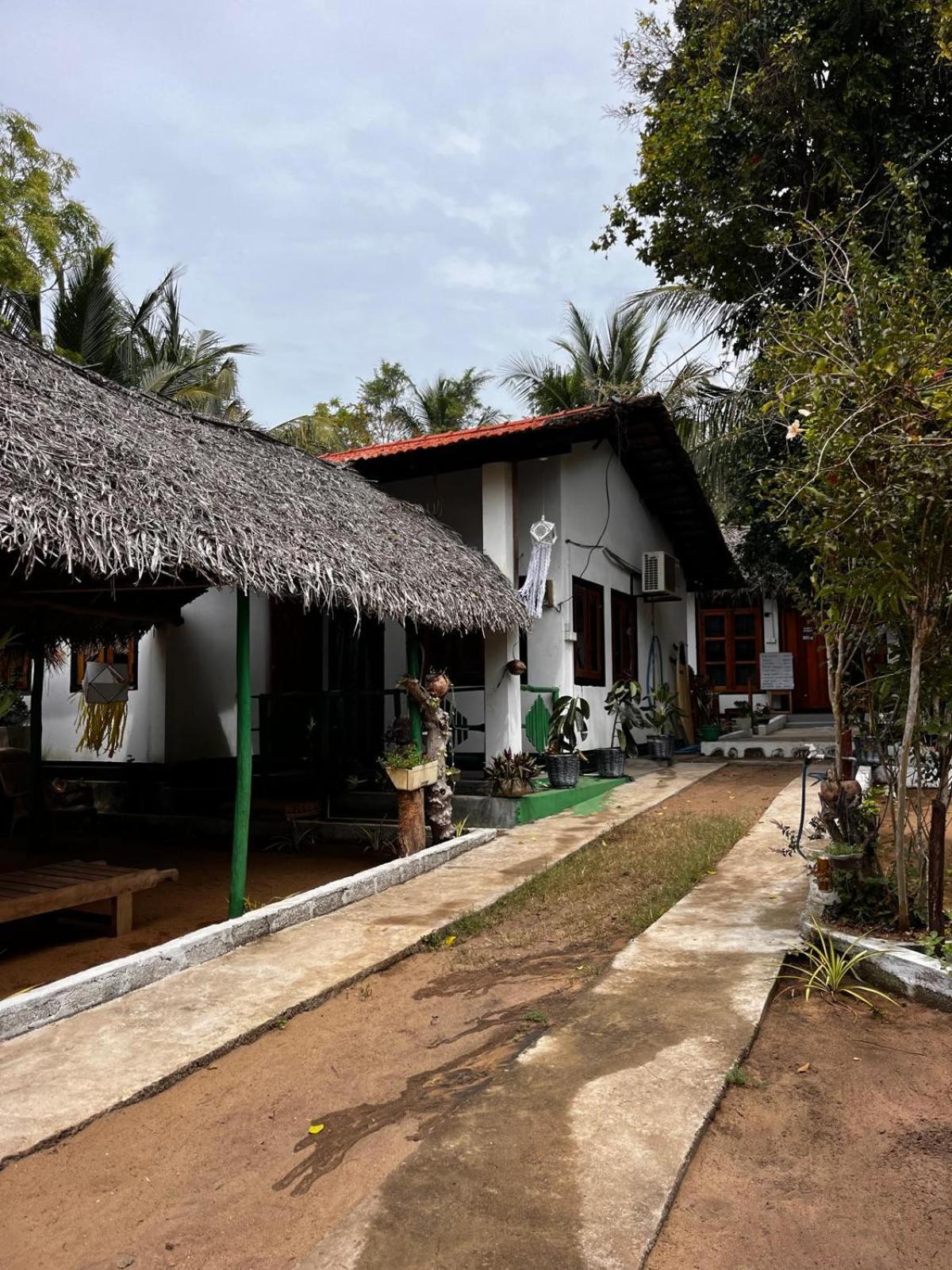 Surfing Lion Hostel Аругам-Бей Екстер'єр фото