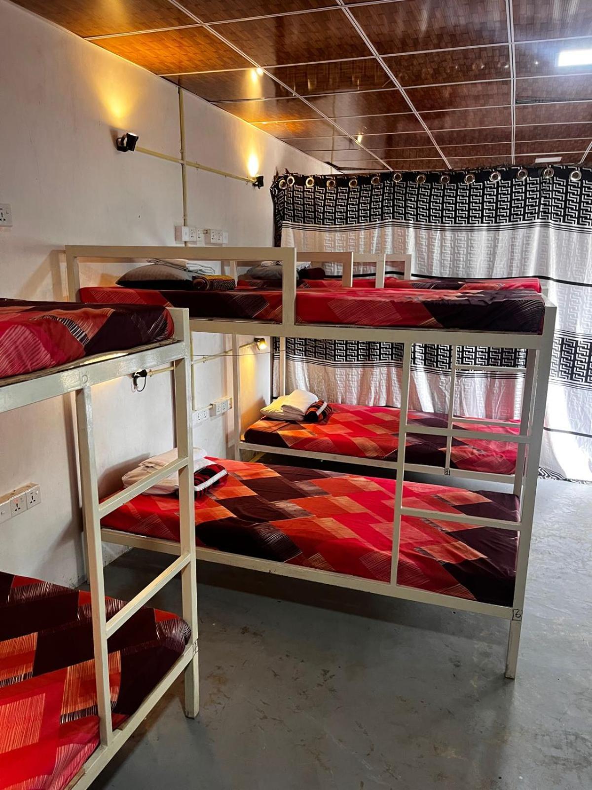 Surfing Lion Hostel Аругам-Бей Екстер'єр фото